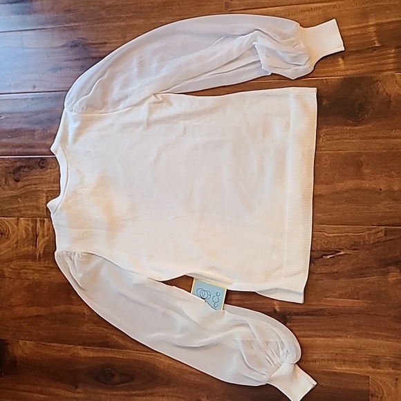 🎉Host Pick 🎉 Cece bow neck Chiffon sleeve sweater top - Picture 11 of 11